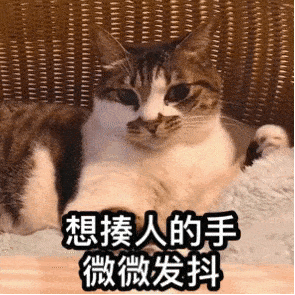动图gif 乱七芭蕉 喵菌真是太惨了,每天给流浪猫猫攒的小鱼干都被偷