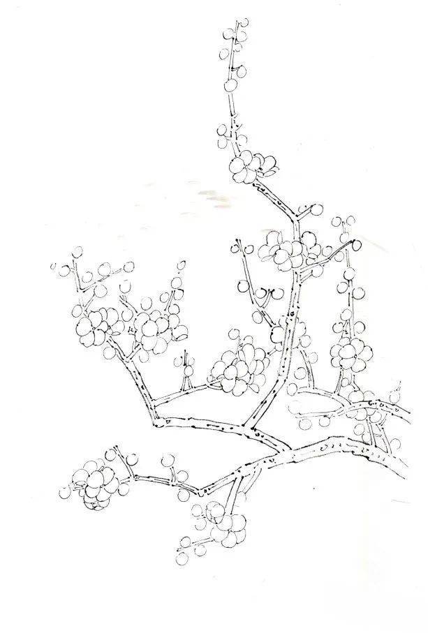 国画教程】彩墨梅花画法步骤_手机搜狐网