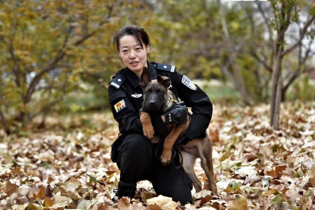 警花与警犬,爱上就别无选择!