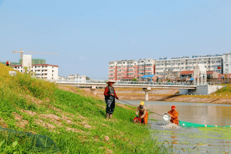 定远县有多少人口_定远曲阳湖