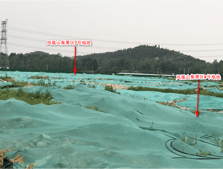 6月2日,2020-18号凤凰山集聚区8号地块,经过221轮报价,高溢价成交