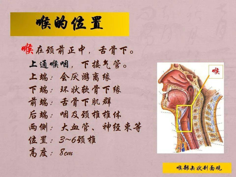 ppt气管切开术后患者护理查房