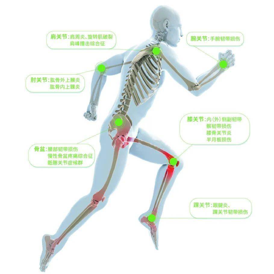 致使骨关节功能进一步退化.