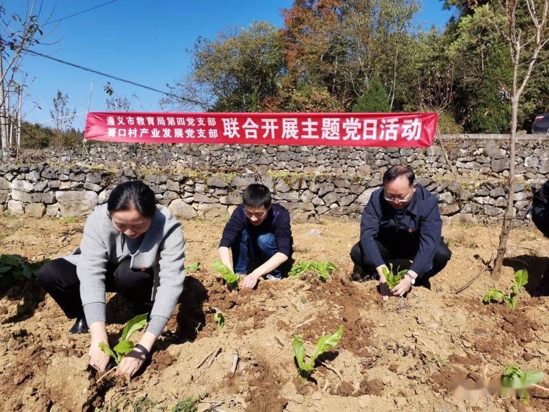 余庆县城有多少人口_这才是该去的地方,除了美得窒息的景色,还不担心晒成 油