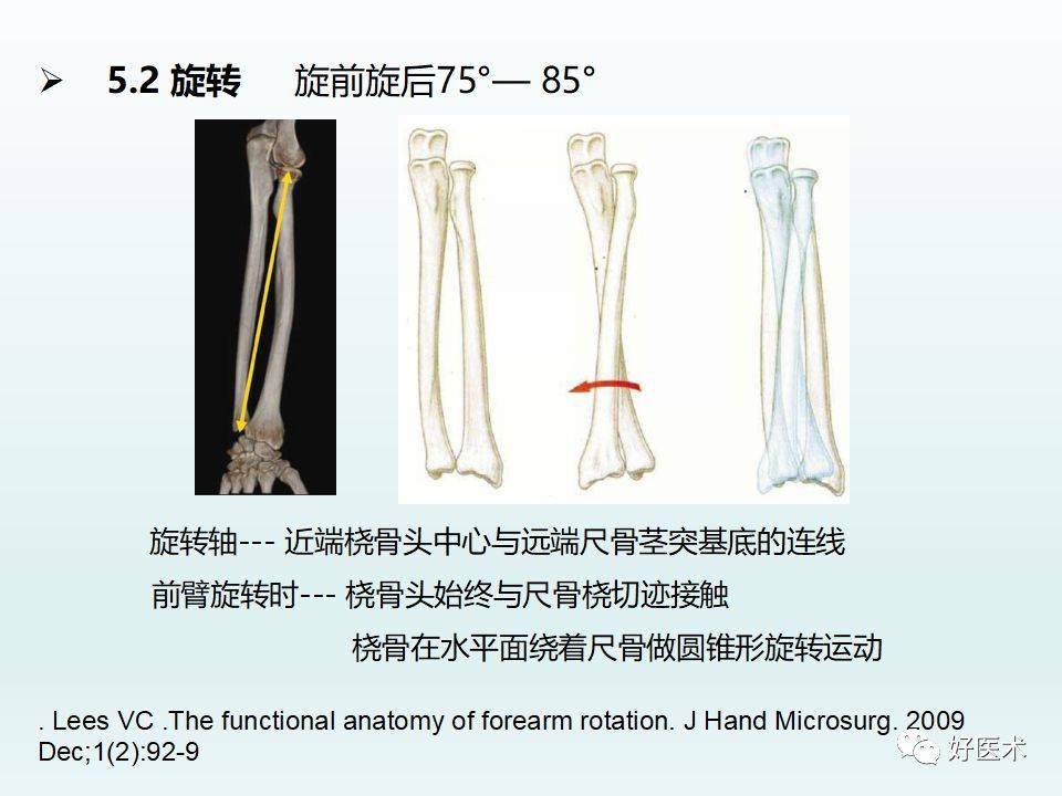 肘关节解剖与生物力学