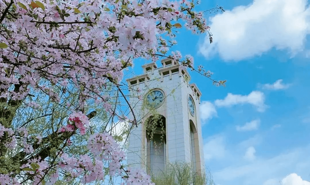 学科|软科发布2020国内财经类大学TOP10！哪所才是你的菜？