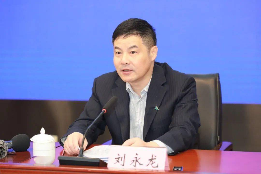 2020世界显示产业大会新闻发布会 合肥市人民政府副秘书长 刘永龙 省