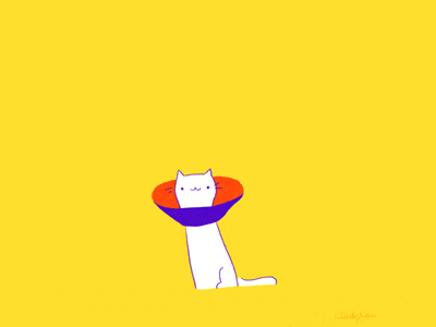 怎么追双子座女生正确呢 e7c1703e540d4a0dbf1a4dd105339dfc.gif