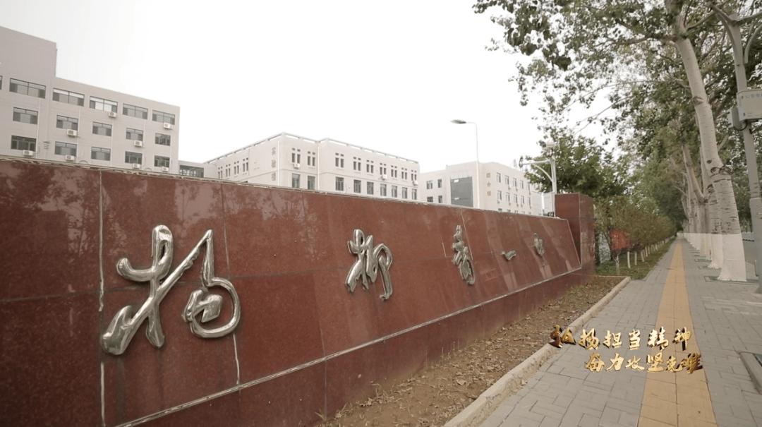 杨柳青一中,市级重点中学.
