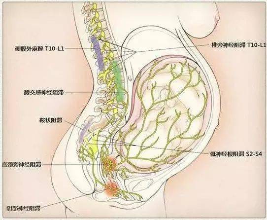 血液透析通过什么原理排水_血液透析原理示意图(2)
