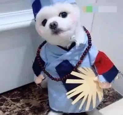 cffbbb15f7c04d83b06c7b4c1543f32c.jpeg