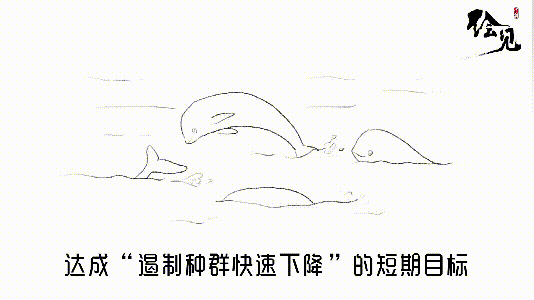 我叫江豚,长江的江