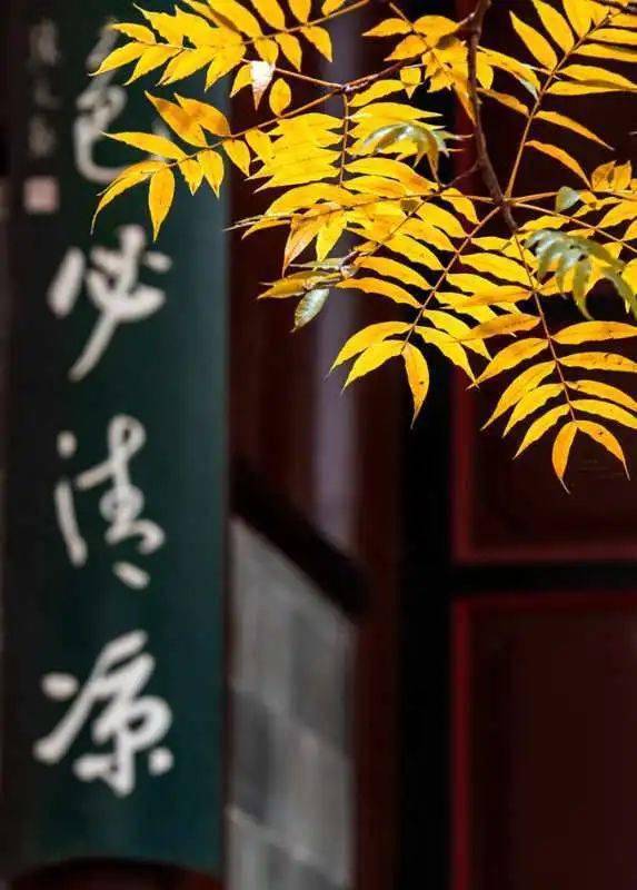 什么叶似火成语_成语故事简笔画(2)
