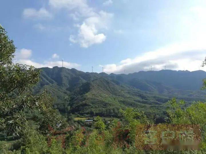 河南灵宝市2020gdp_灵宝市焦村一中照片(3)