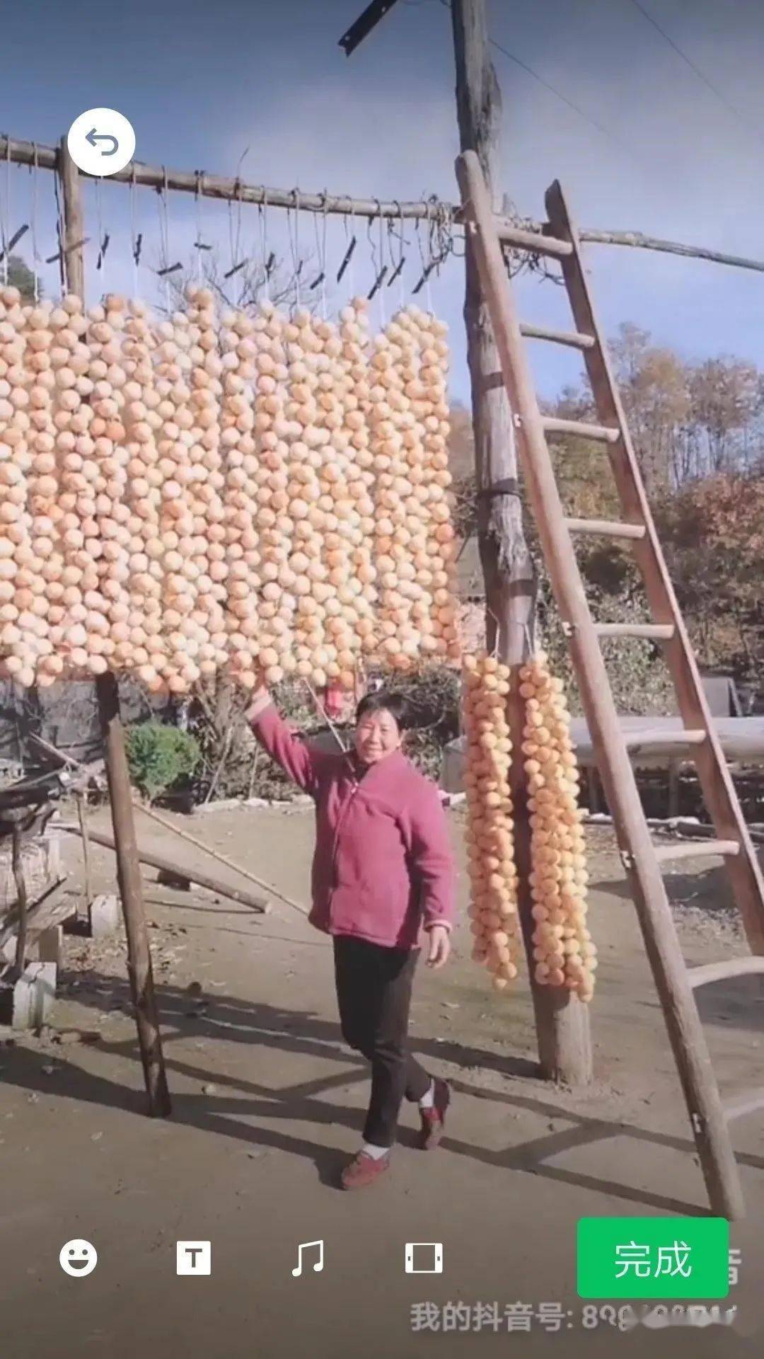 朱阳关人口_卢氏朱阳关城区图片