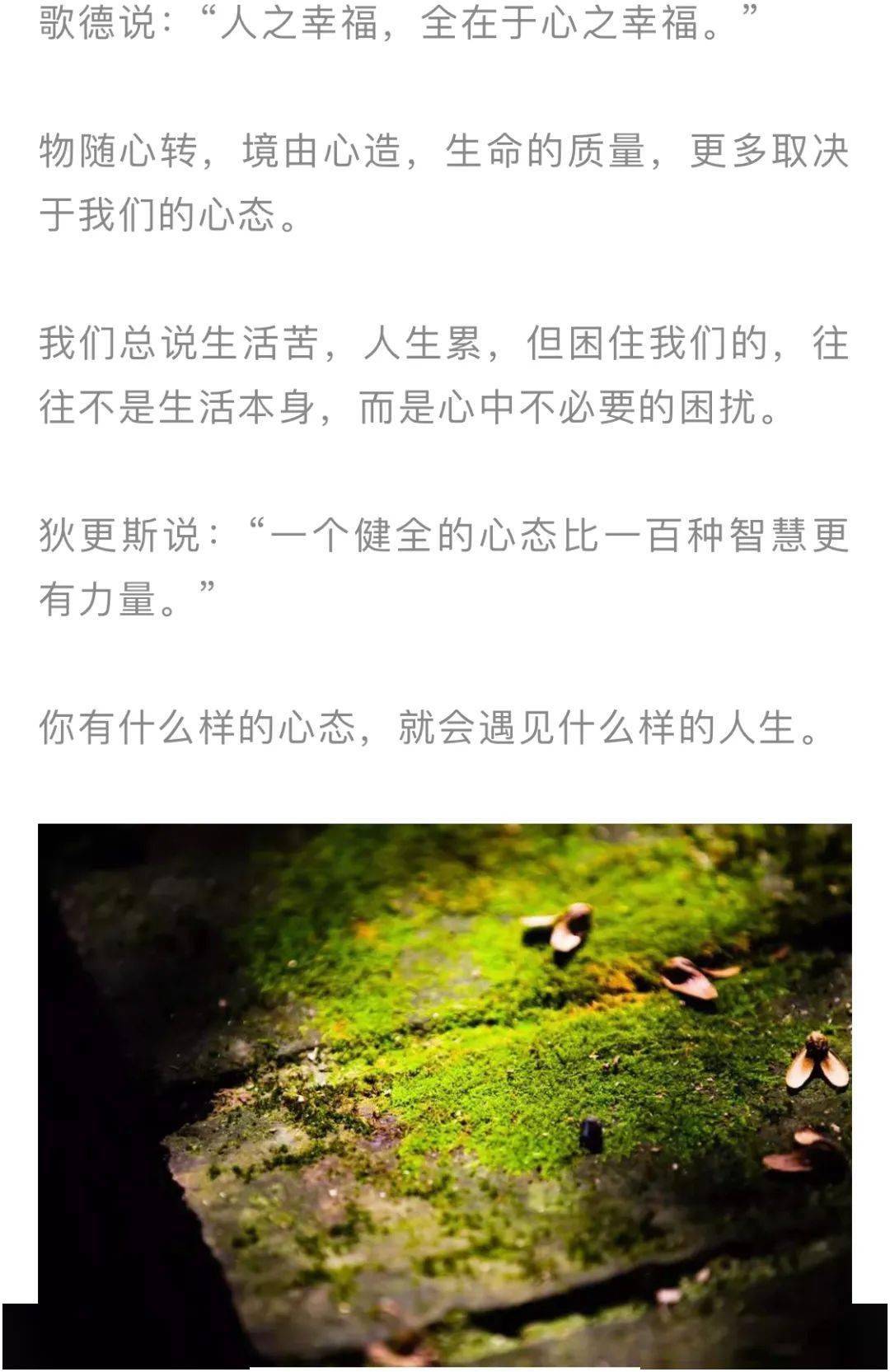如何保持好的心态文案 599443d87930493bb15d570152433f77.jpeg