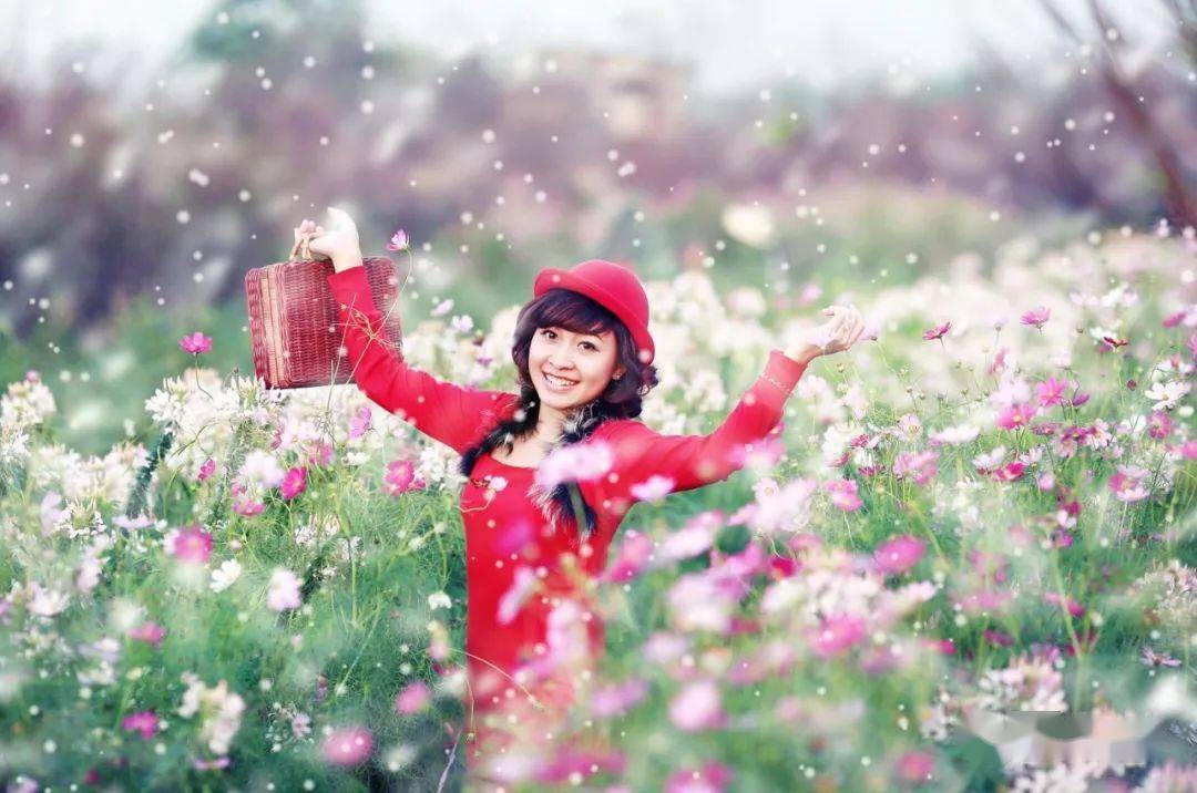 特点|详解5个焦段的24个特点,找到满意定焦头