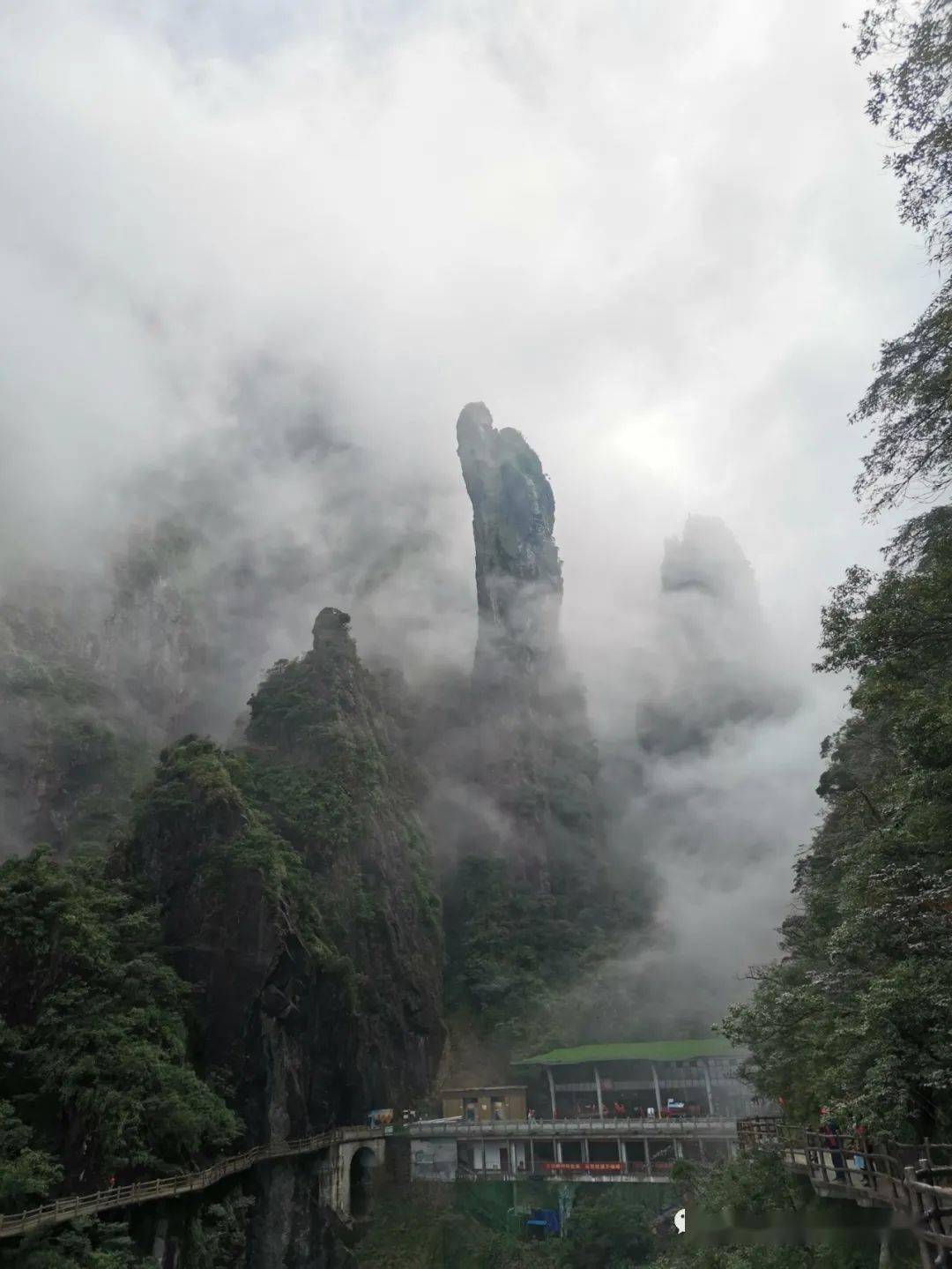 新莽山--五指峰景区纯玩一日游 "医务人员免门票和缆车"11月19,21日