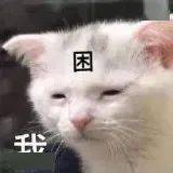 蒙淇淇|E句话看天下丨凡尔赛公主为她的“艺术夸张”道歉了？