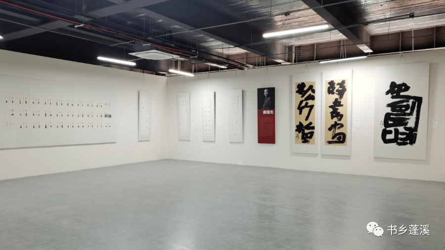 跟到溪妹儿看哈书法展!我们蓬溪的哦!
