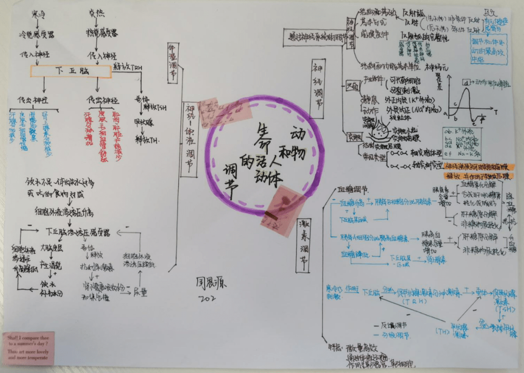 最新! 令人惊呼的"衡水体"答题卡(2020版)曝光, 活该人家考高分!