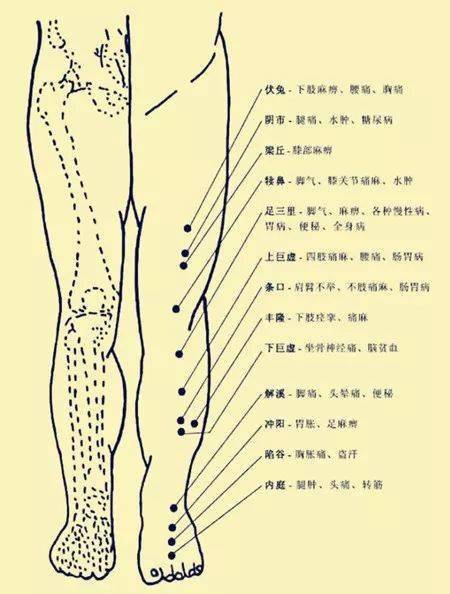 非常完整的人体穴位图与功效果断收藏