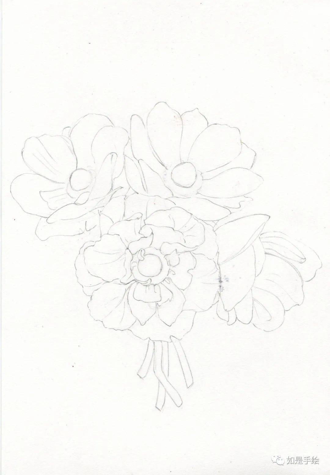 彩铅手绘 银莲花束