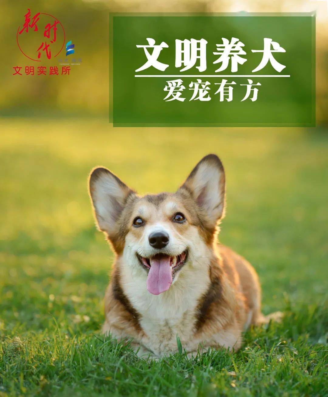 文明养犬公约来啦让我们疫起文明养犬