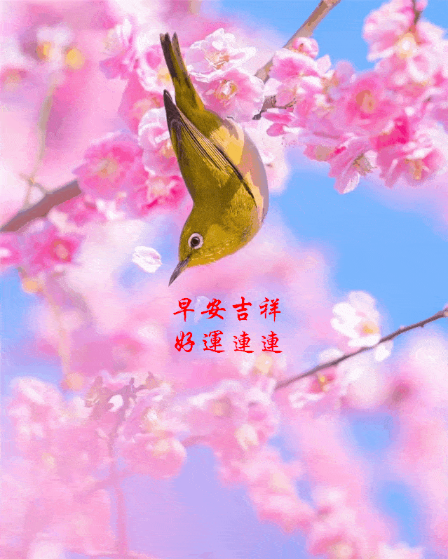 639_797竖版 竖屏gif 动态图 动图