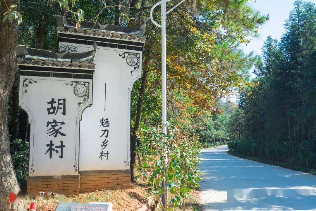 胡村 来自搜狐网