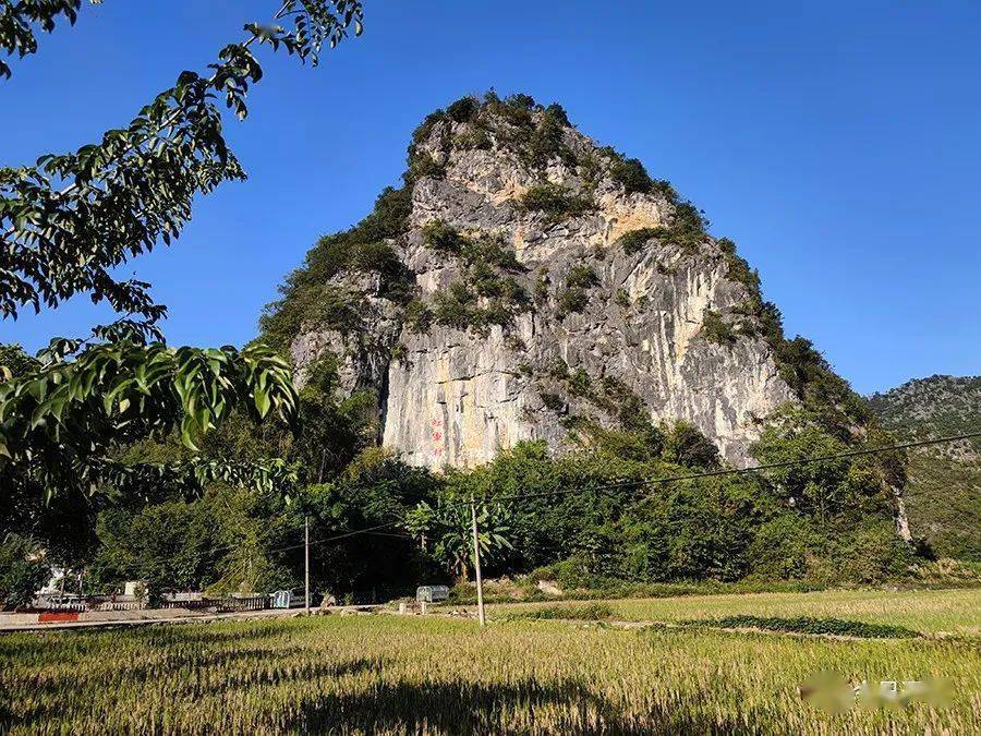 日前,记者怀着崇敬的心情,慕名来到"红军村—天等县进远乡政洲村