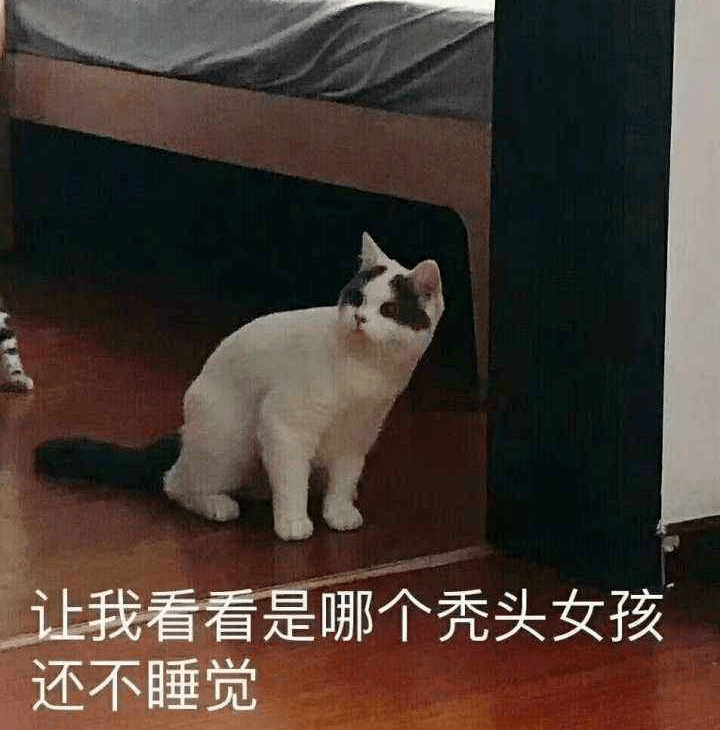 怎样可以长时间熬夜不困 d817a7ebfdd240dc8e383db7ffd63df7.png