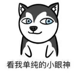 dcdd965a32aa4496bb6abbdcfbfa4985.jpeg