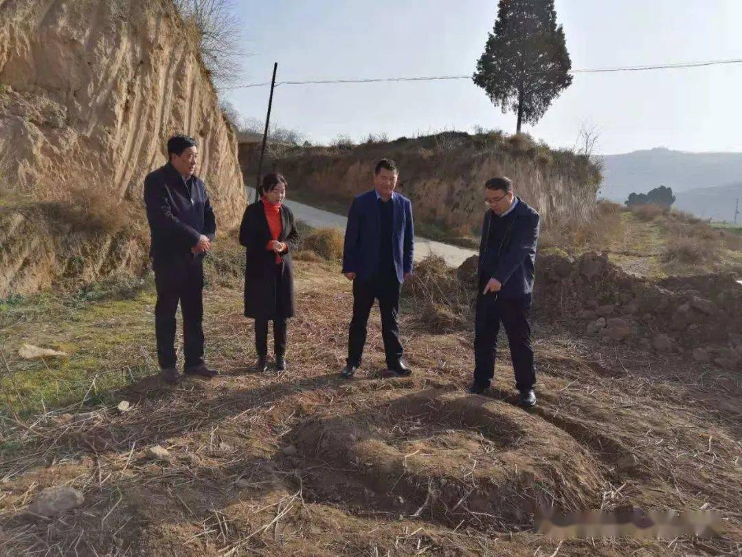 乔明汉到永坪镇检查指导苹果栽植工作