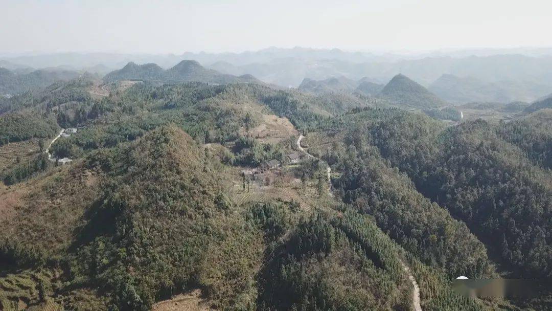 安龙县有多少人口_民俗文学 探寻百年布依村 板万布依古寨