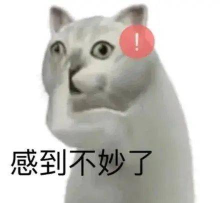 3edf72a5b2cd493abe0fd8b0bc9d5b16.jpeg