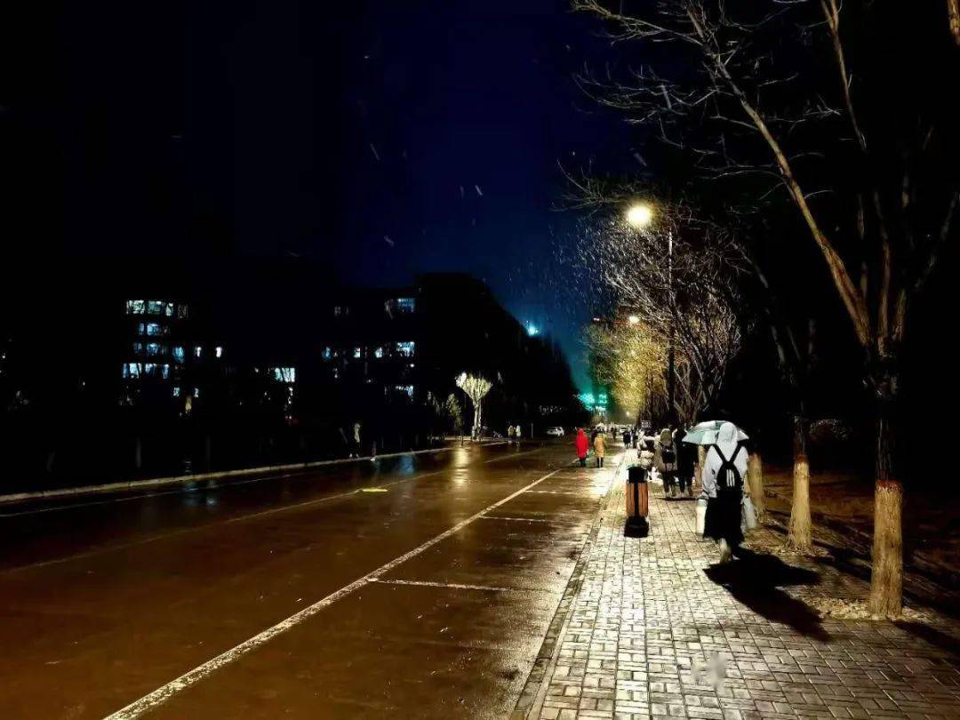 初雪每一片雪花都是冬天的来信