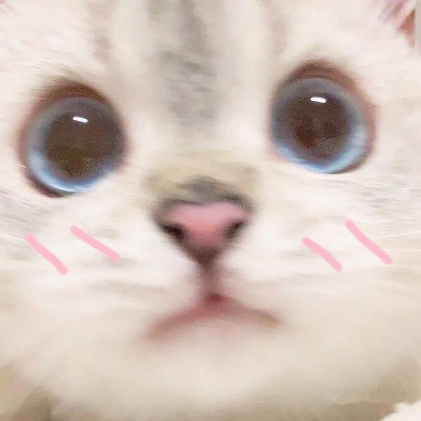 别跟我装乖巧 ee6001eec621477d9af8a6f63c5a24bf.jpeg