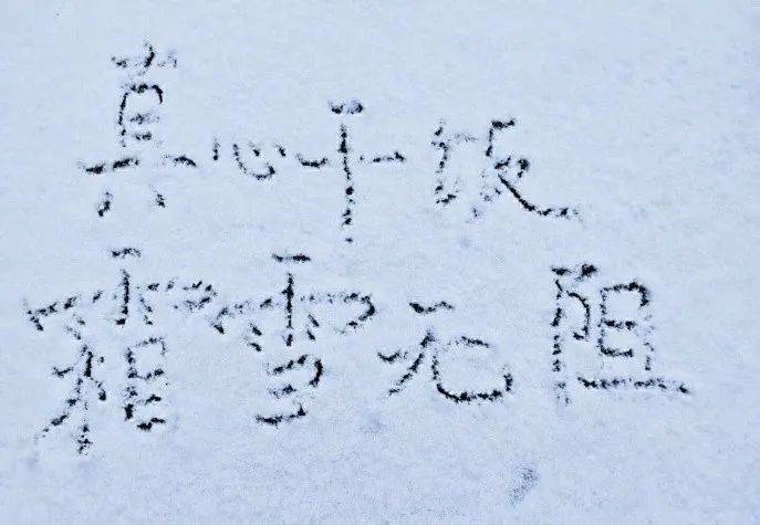 什么雪什么皑成语_雪菜是什么菜图片