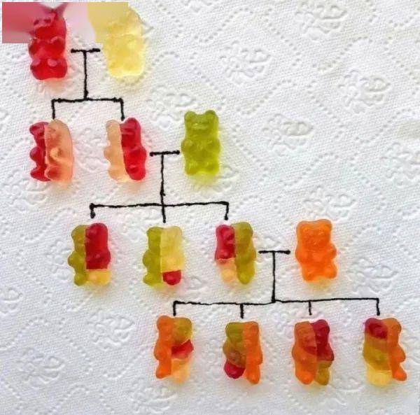 [煎蛋]无聊图热榜：有时候你需要的只是那一小块，缺失的东西来让自己更快乐-BB姬