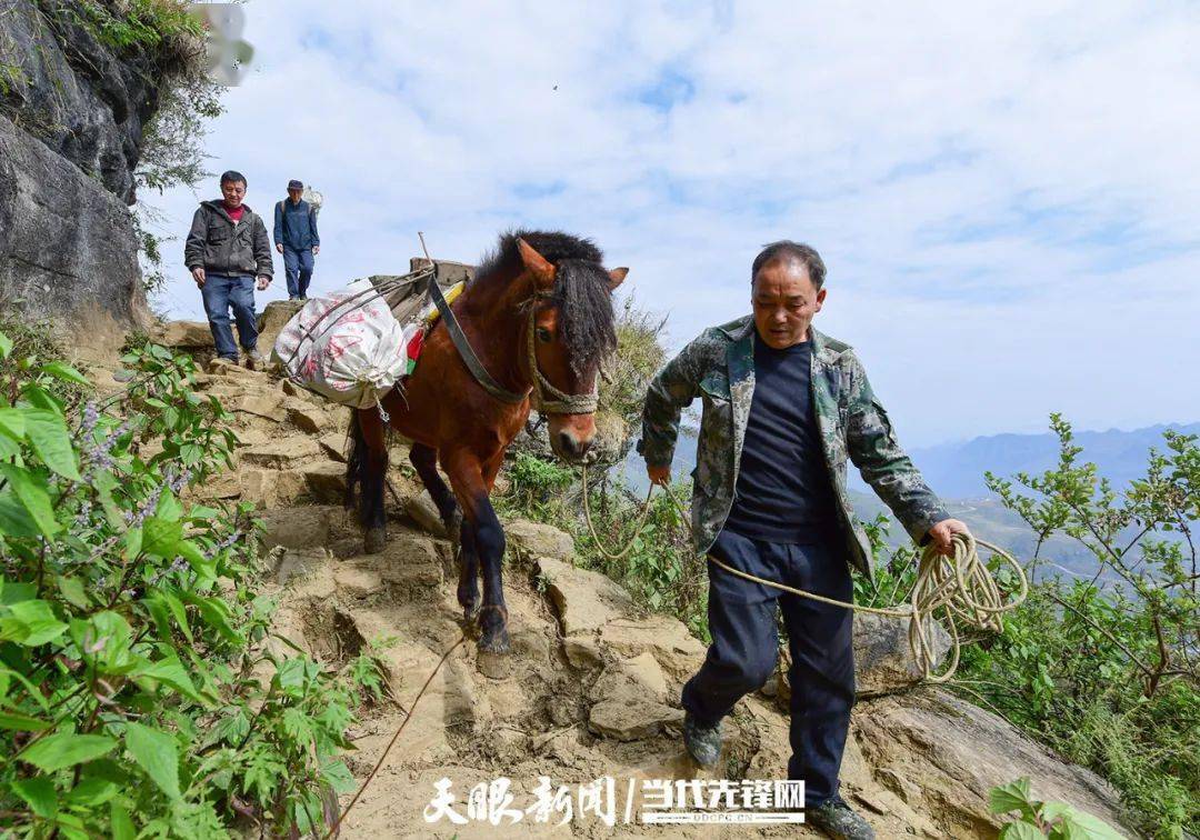 马干村人口_缙云县马渡村人口名字(2)