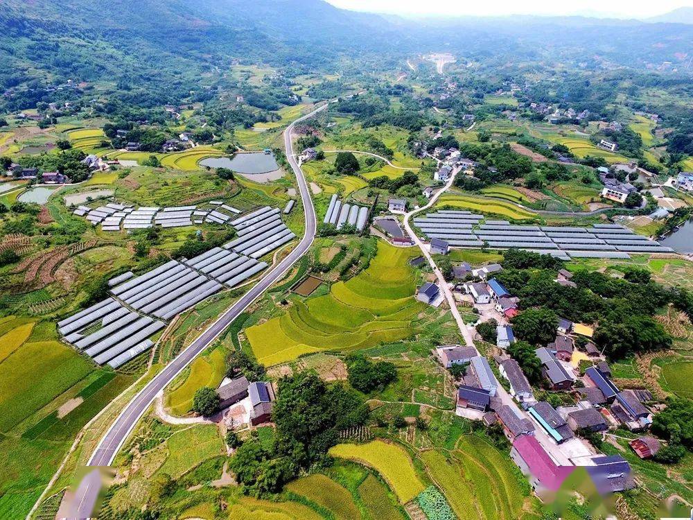 《丰收的田野》綦江区永新镇升坪村 杨奇/摄《大地新篇章》潼南桂林