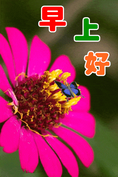 400_600竖版 竖屏gif 动态图 动图