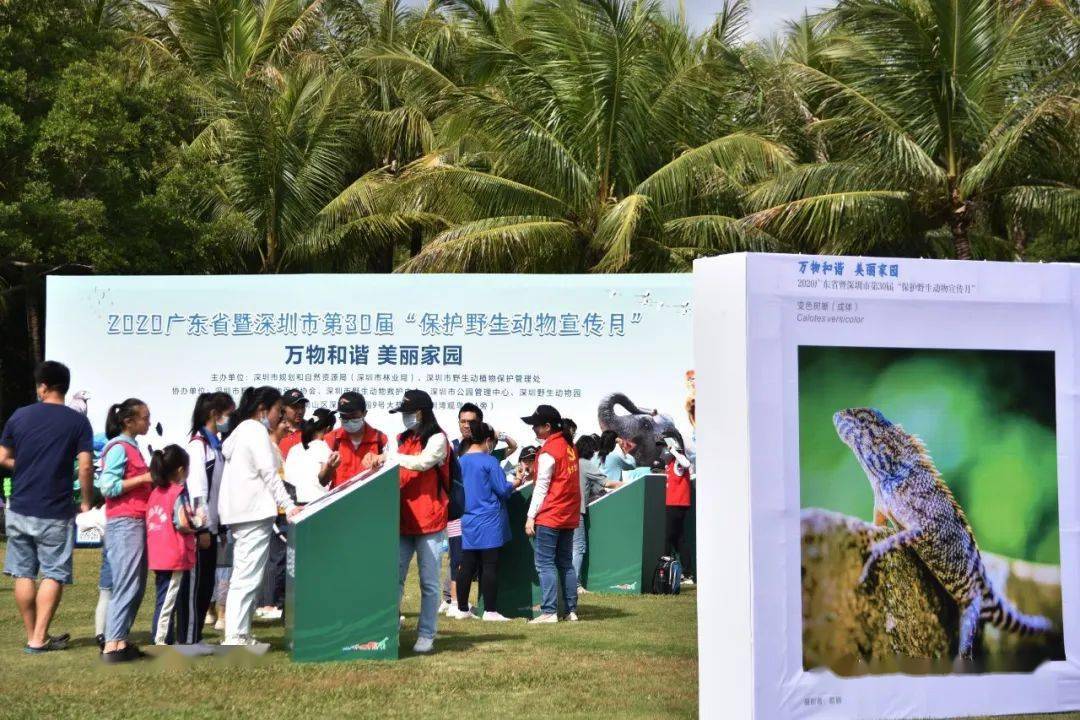 "保护野生动物宣传月"在深圳湾启动,全民参与点燃科普热情!