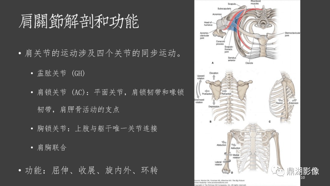 肩关节mri的结构式评估