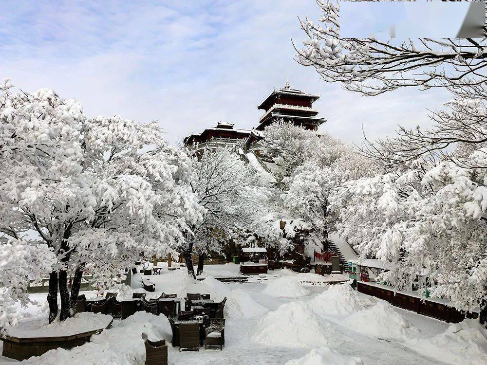 走,玩雪去,今天王屋山雪景又刷屏!_济源