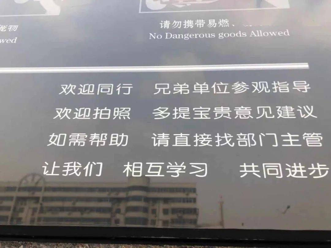 无价之宝简谱_无价之宝 被当成废纸卖了4000元,现在花多少钱也买不回来了