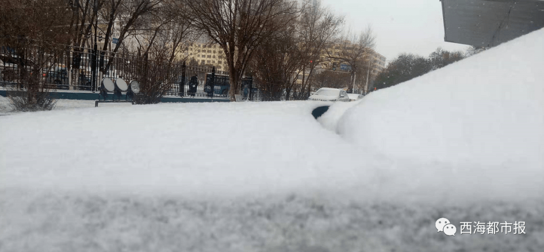 西宁的这场雪真大