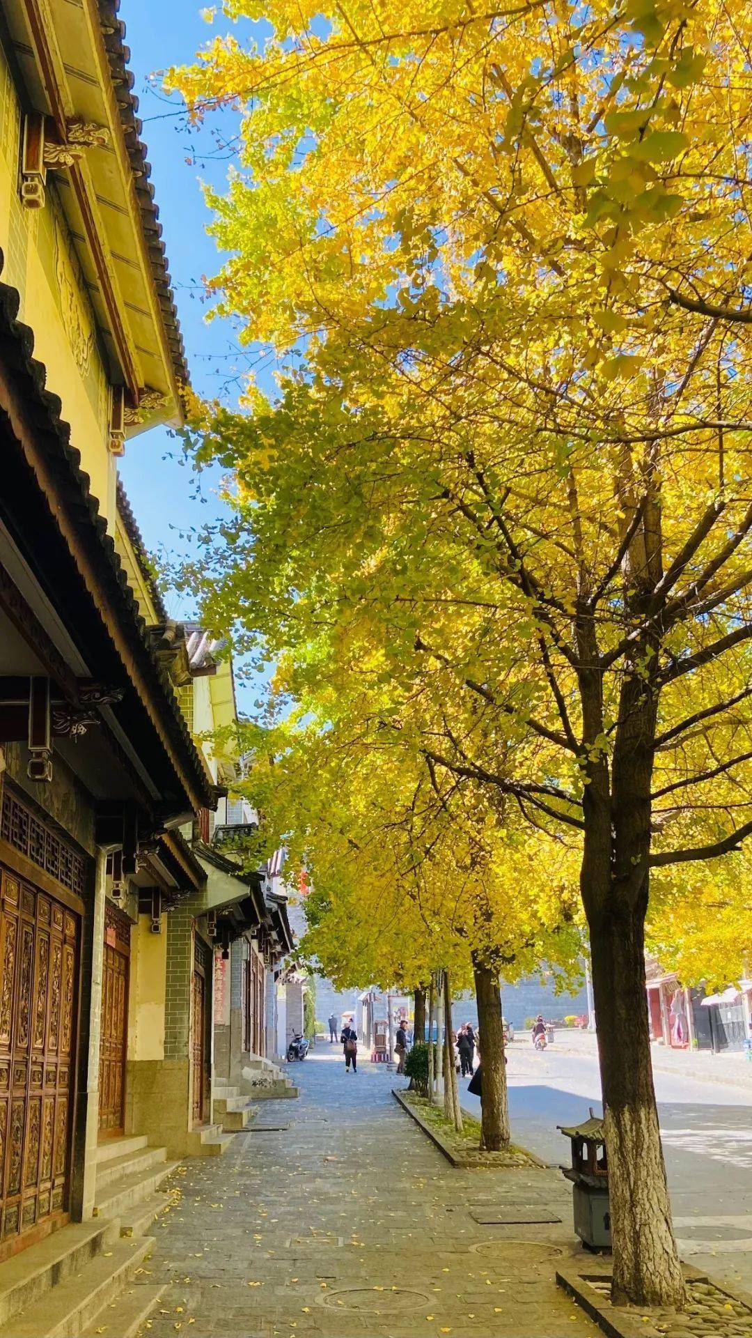 什么时候过冬成都 b4d751be18014adfb344e2fc47417620.jpeg