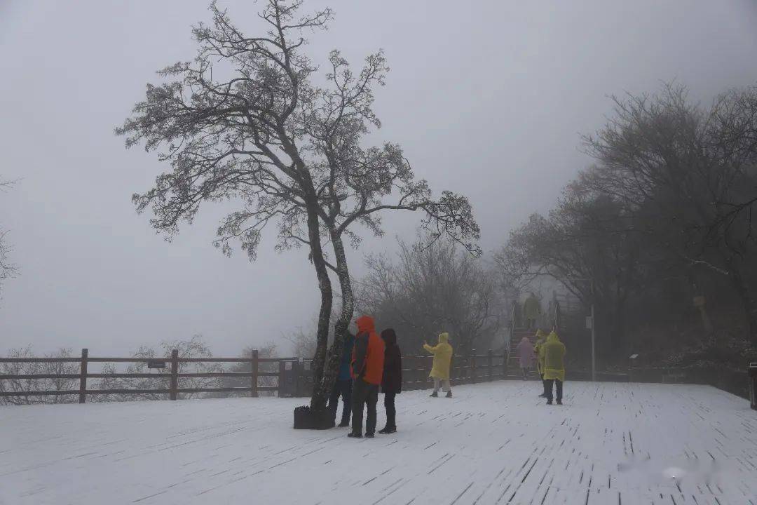 刚刚,汉中下雪了!